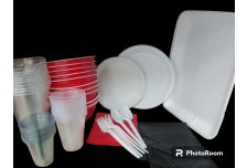 Набор одноразовой посуды для пикника на 10 персон (1/10) арт.007 АРЧ