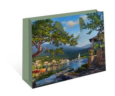 Бум пакеты 50х40х25 Мечта     1327.842 НФ-00022348