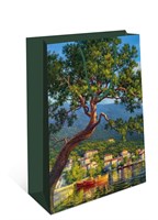 Бум пакеты 18х23х10 Мечта    0192.320 НФ-00022288