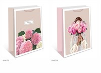 Бум пакеты 33х42х10 Ассорти  0195.885 НФ-00026061