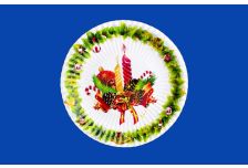 НГ тарелка бумажная  д.230мм глуб.15мм Marin СВЕЧИ /10уп * 50шт/ (500 шт)