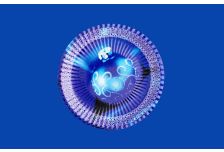 НГ тарелка бумажная  д.230мм глуб.15мм Marin ШАР/10уп * 50шт/ (500 шт)