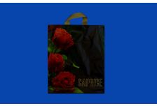 Пакет петля  ДПА 38х45 Каприз /20уп х 25шт/ ПВД 80мкм (500шт)