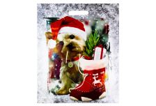 Пакет выруб  НГ Тико 45х38 Дружок  /10уп х 50шт/ (500шт) глянец