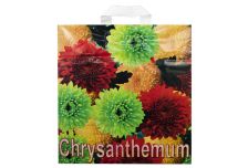 Пакет петля  ДПА 40х43 Хризантемы /10уп х 50шт/ ПВД 80мкм (500шт)