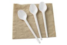 Ложка чайная СПГ (60упх100шт) (6000шт) компакт