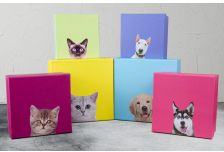 Набор подарочных коробок 1/3шт КВАДРАТ КОТИКИ И СОБАКИ