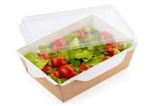 ДоЭКО Салатник ламин с прозрачной крышкой 500 мл ЭКО OpSalad 50/300 шт.