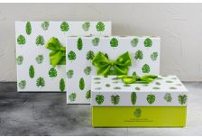 Набор подарочных коробок 1/3 ПРЯМОУГОЛЬНЫЙ  с зелёными листочками
