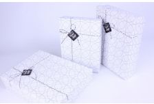 Коробка  C21 1/3шт (16шт)