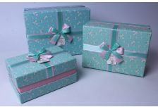 Коробка T024 1/3шт (24шт)