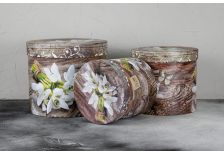 Набор подарочных коробок 1/3 ЦИЛИНДР  ТЮЛЬПАНЫ/КРОКУСЫ