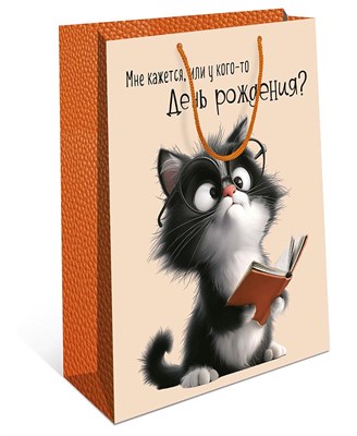 Бум пакеты 18х23х10 У кого-то день рождения    0192.417 НФ-00022779