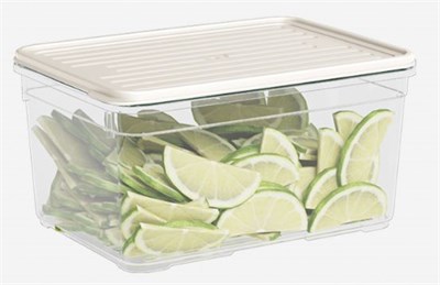 Лоток с крышкой 2100мл. крем НФ-00025579