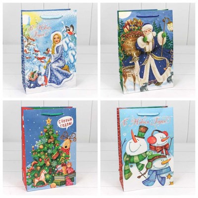 Бум пакеты НГ 20*30*10 ОМ300374К НФ-00025926