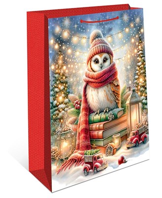 Бум пакеты 18х23х10 Сова  0192.559 НГ НФ-00026006