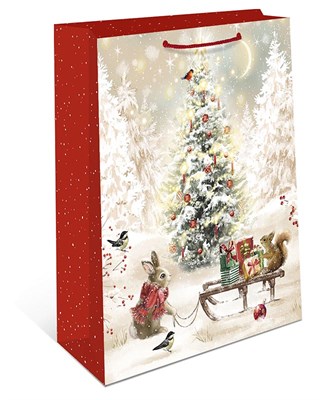 Бум пакеты 18х23х10 Сани  0192.589 НГ НФ-00026014