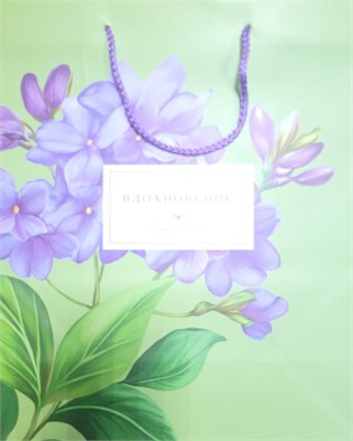 Бум пакеты 26х32х12 Вдохновение  0193.778 НФ-00026053