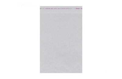 Пакет ПП с клапаном 250х380(420)мм 25мкр (1000шт) МВ НФ-00024701