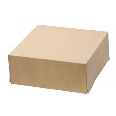 ДоЭко контейнер под десерт ECO CAKE 6000 255х255х105 (15/75шт) 12024