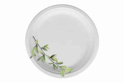 БИО Тарелка  д 230 Экотайм  /18уп *50 шт/(900шт) 16351