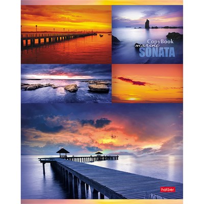 Тетрадь А 5 96 л ХАТБЕР клетка в ассортименте НФ-00001749