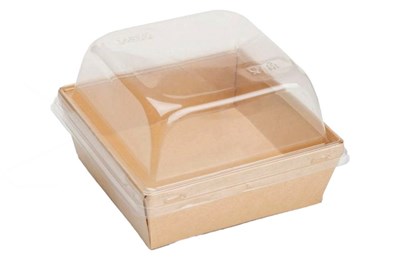 ОСК контейнер универ Smart Pack 550 ДНО 114(130)х114(130)х40 (450шт) 17411