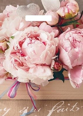  Пакет ПЭ с вырубной ручкой 29х40см (35) (Бенефис) Артпласт (х50/1000)  НФ-00022169