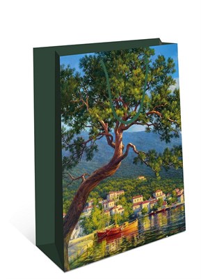 Бум пакеты 18х23х10 Мечта    0192.320 НФ-00022288