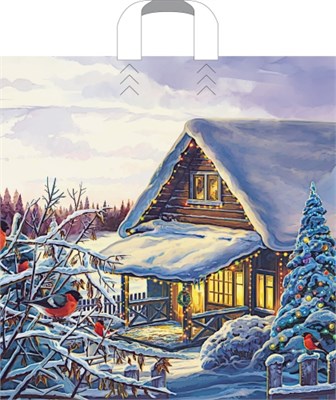 Пакет ПЭ с петлевой ручкой 45х45+3см (60) (Домик в лесу) Артпласт (х25/250) НГ НФ-00025382