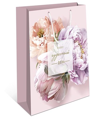 Бум пакеты 26х32х12 Чудесный день    0193.248 НФ-00022268