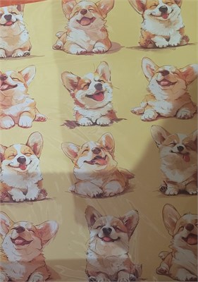 Бум пакеты 50х40х15 Корги     1326.822 НФ-00024640