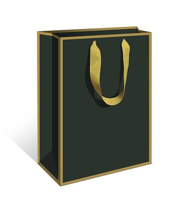 Бум пакеты  Делюкс 29 х 36 х 14  Зеленый  0557.177 НФ-00025691