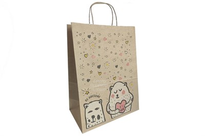 Пакет крафт с крученой ручкой  350х260х150 бурый ДРУЗЬЯ 80гр (250шт)  19712