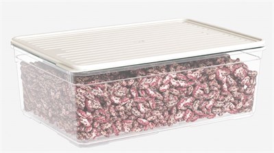 Лоток с крышкой 4300мл. крем НФ-00025580