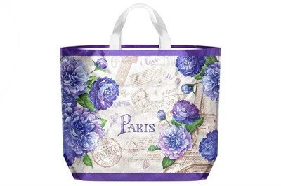 Сумка Эко 50х40 ПВД  АМУР /10уп х 10шт/ (100шт) 19261