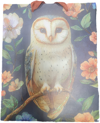 Бум пакеты 18х23х10 "Сова"  1598.191 НФ-00025683