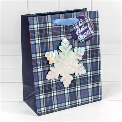 Бум пакеты НГ 18*23*10 ОМ300366Е НФ-00025933