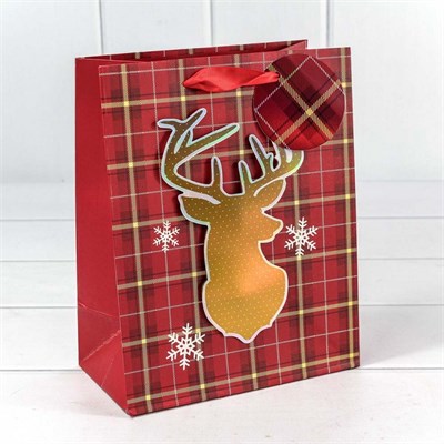 Бум пакеты НГ 18*23*10 ОМ300365Е НФ-00025936