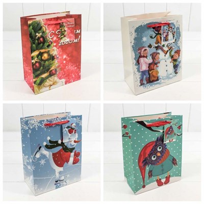 Бум пакеты НГ 18*23*10 N21702 НФ-00025949