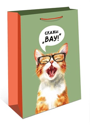 Бум пакеты 26х32х12 Скажи: "Вау"  0193.696 НФ-00026045