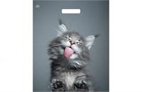 Тико 45х38 Кот /10уп х 50шт/ (500шт) выруб  ламин. 17642