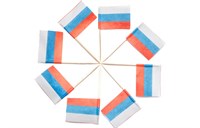 Пика Пласт Лидер 